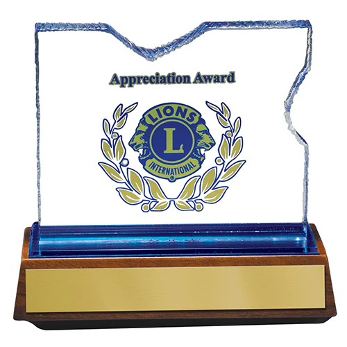APPRECIATION AWARD - ENGRAVED