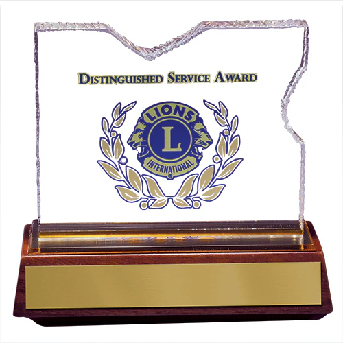 DISTINGUISHED SERVICE AWARD - NO ENGRAVING