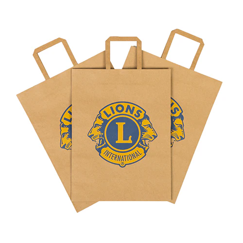 BROWN KRAFT BAG 10/PK