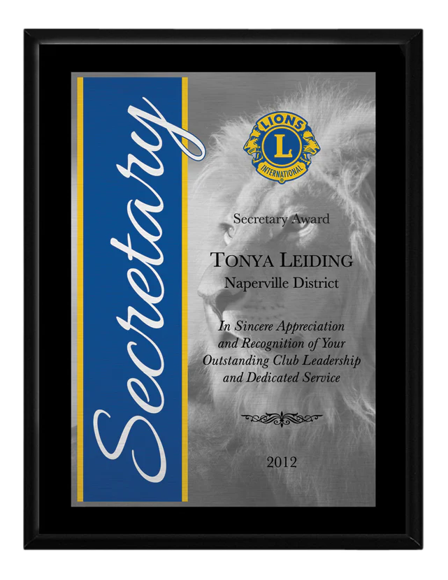 SATIN ALUMINUM AWARD - Image 2