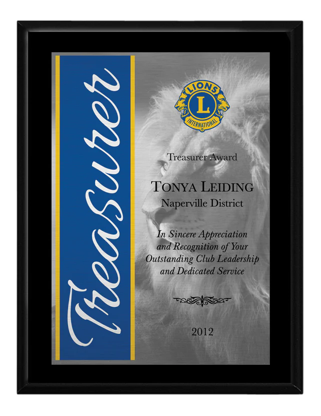 SATIN ALUMINUM AWARD - Image 3