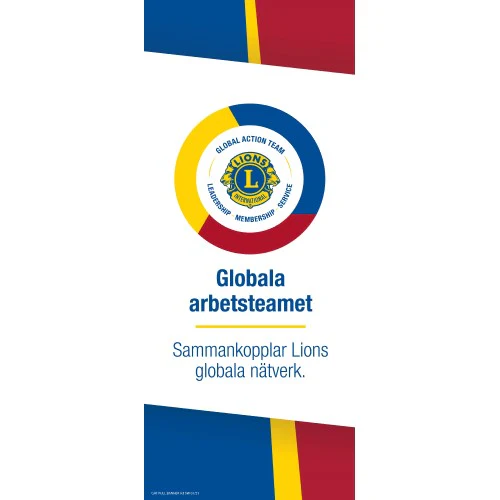 CONNECT GLOBAL LIONS NETWORK BANNER - Image 10