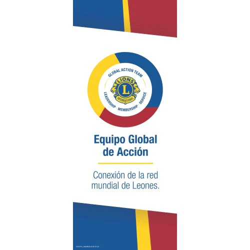 CONNECT GLOBAL LIONS NETWORK BANNER - Image 9