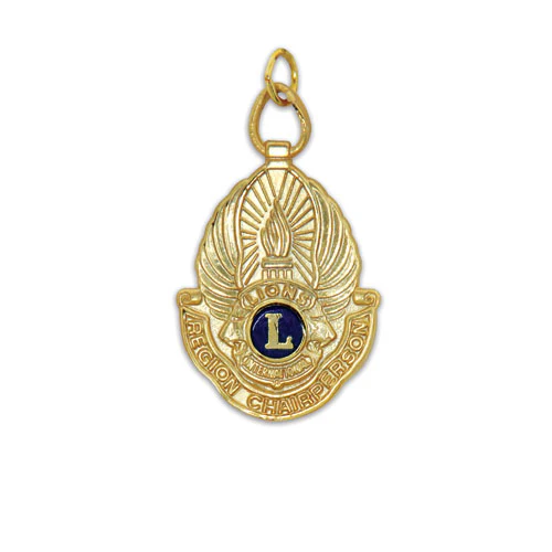 DISTRICT OFFICER MEDAL - Image 3