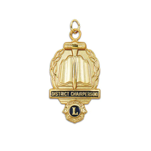 DISTRICT OFFICER MEDAL - Image 4
